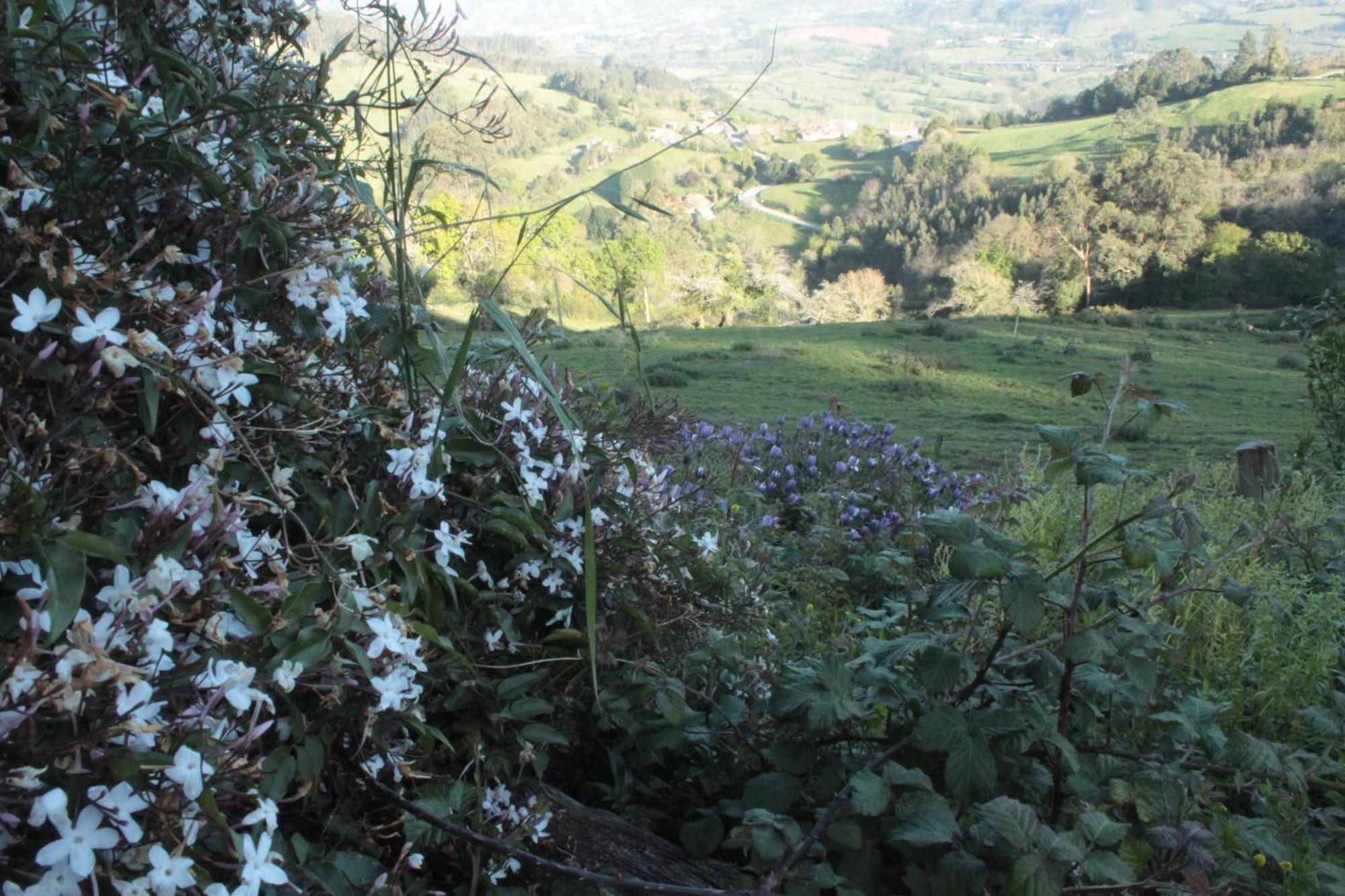 Alojamientos Rurales Pena Crespa Tresvilla Εξωτερικό φωτογραφία